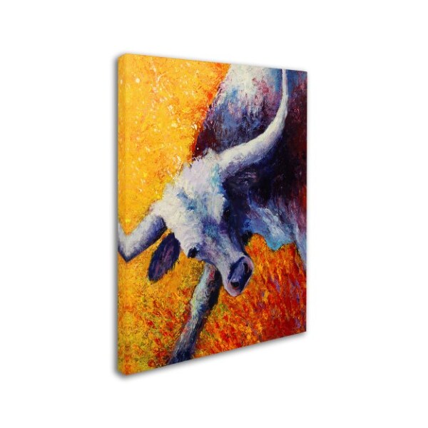 Marion Rose 'Blue Steer' Canvas Art,24x32